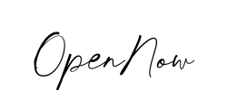 OpenNow - logo